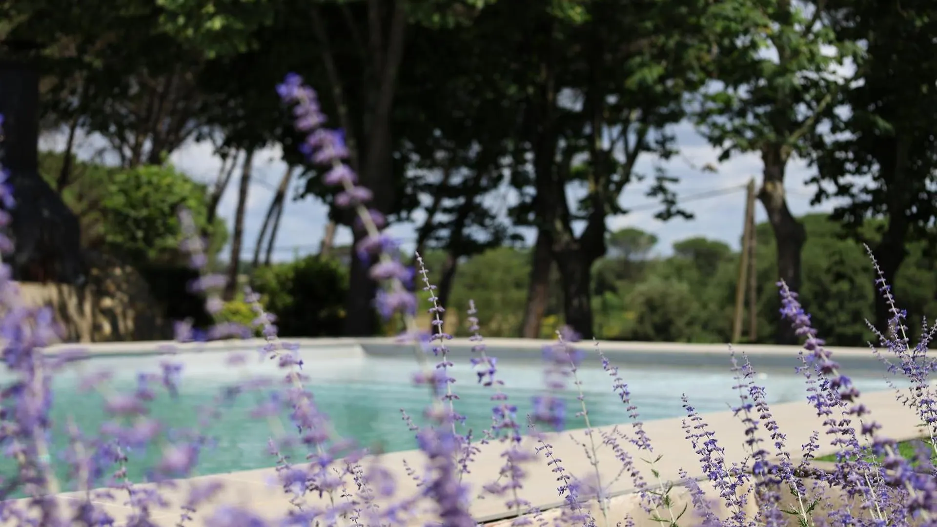 Bed & Breakfast Can Jan Vives Vidreres