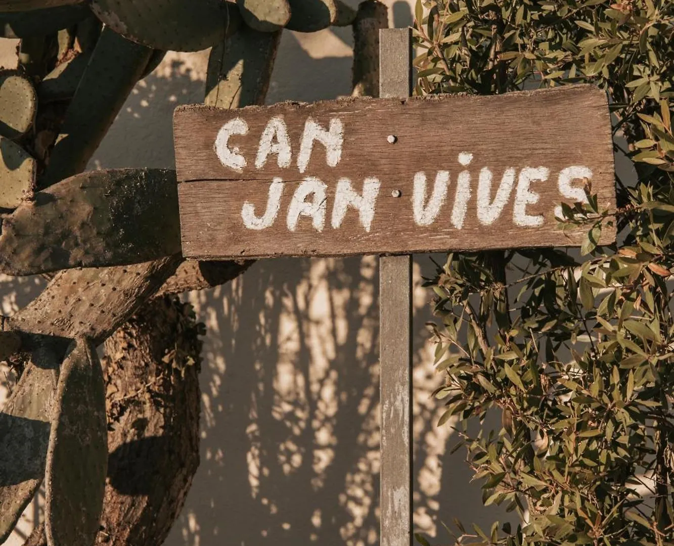 Can Jan Vives Vidreres 0*,